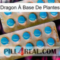 Dragon À Base De Plantes new08